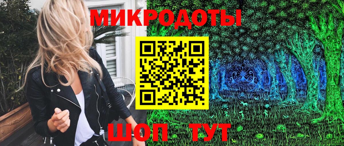 Псилоцибиновые грибы Cubensis Похвистнево